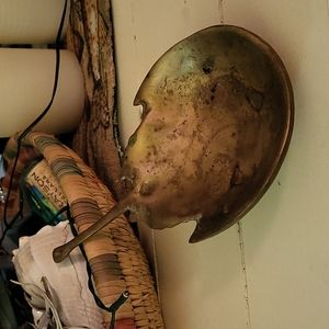 Horseshoe Crab brass figurine